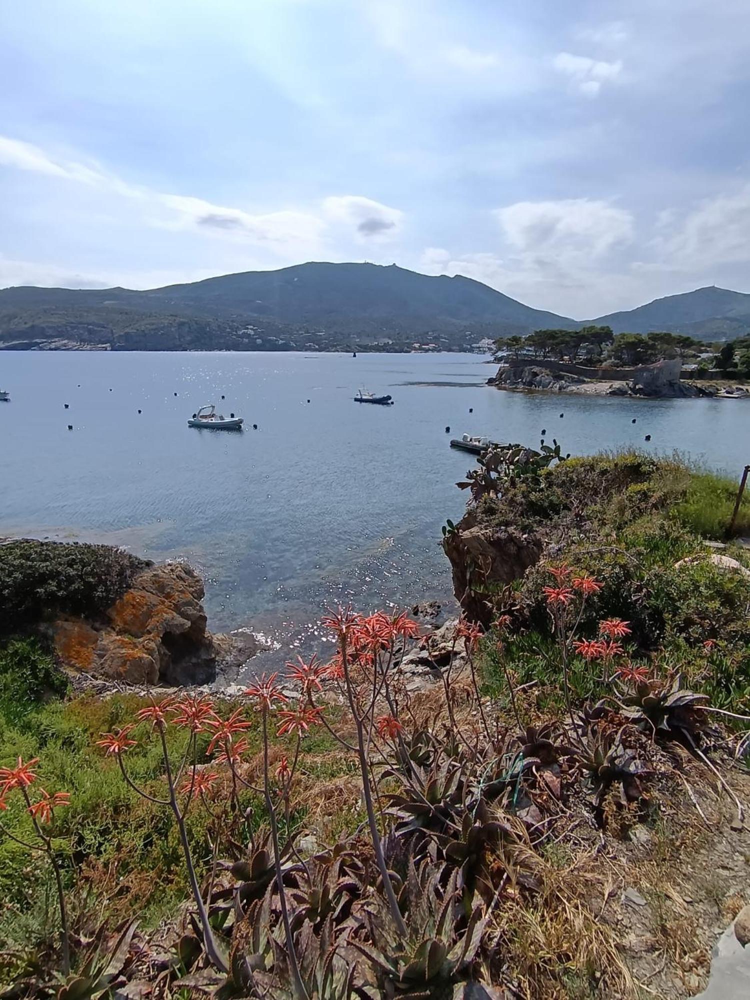 Isla Privada En Cadaques De Ensueno Con 11 Habitaciones Dobles Con Bano Privado Y Piscina Εξωτερικό φωτογραφία