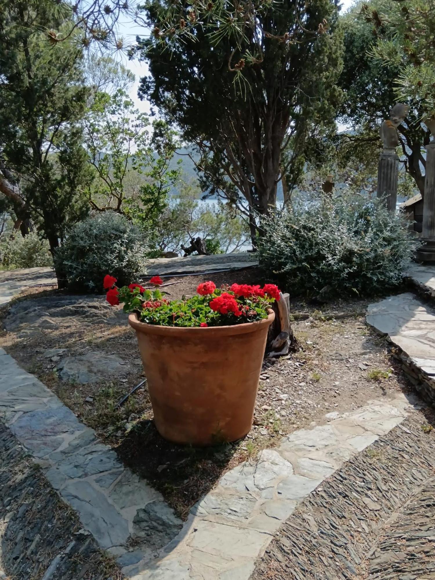Isla Privada En Cadaques De Ensueno Con 11 Habitaciones Dobles Con Bano Privado Y Piscina Εξωτερικό φωτογραφία