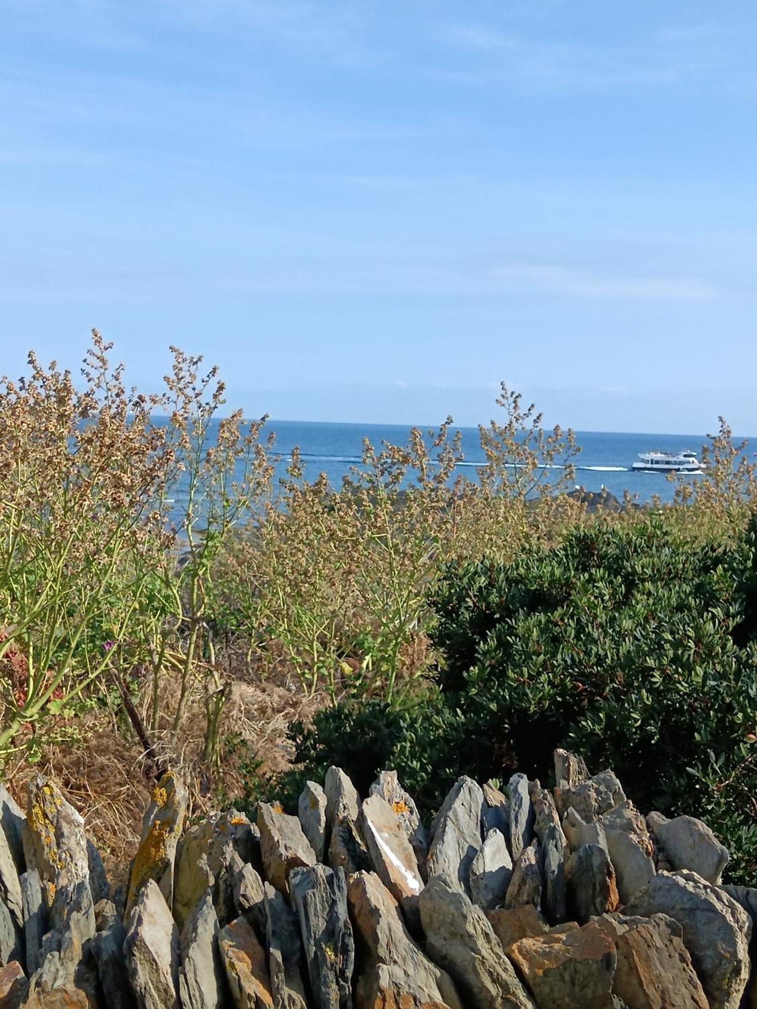 Isla Privada En Cadaques De Ensueno Con 11 Habitaciones Dobles Con Bano Privado Y Piscina Εξωτερικό φωτογραφία