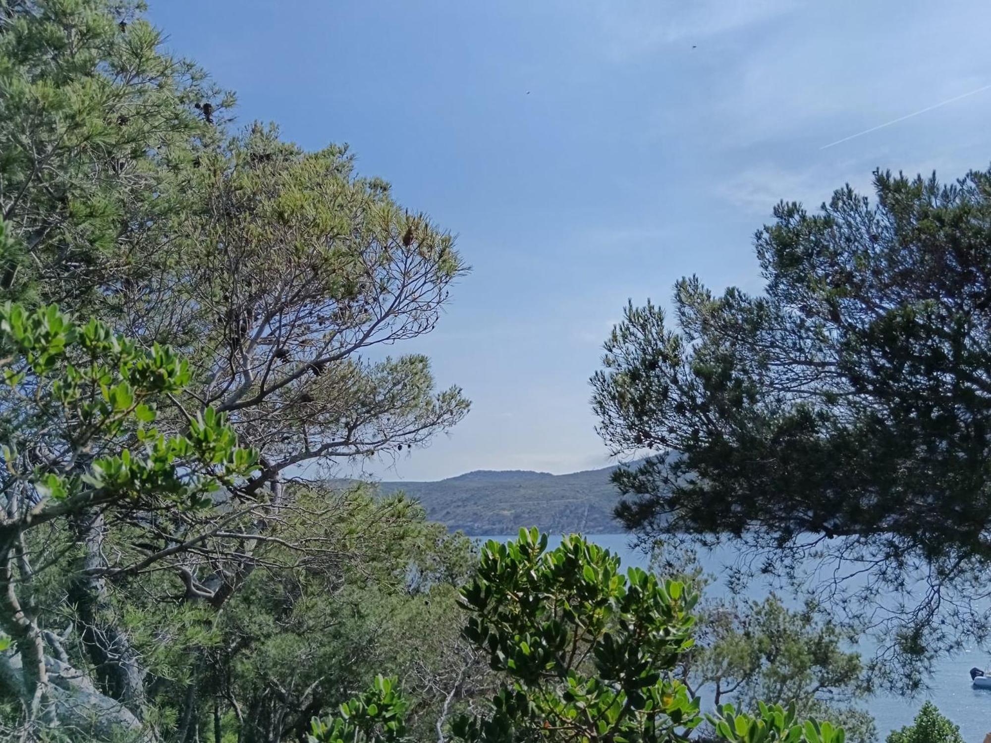 Isla Privada En Cadaques De Ensueno Con 11 Habitaciones Dobles Con Bano Privado Y Piscina Εξωτερικό φωτογραφία
